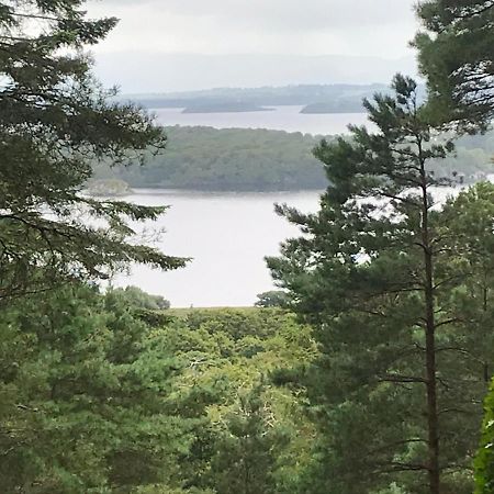 Tall Trees Seaside & Nature Retreat B&B Delgany エクステリア 写真