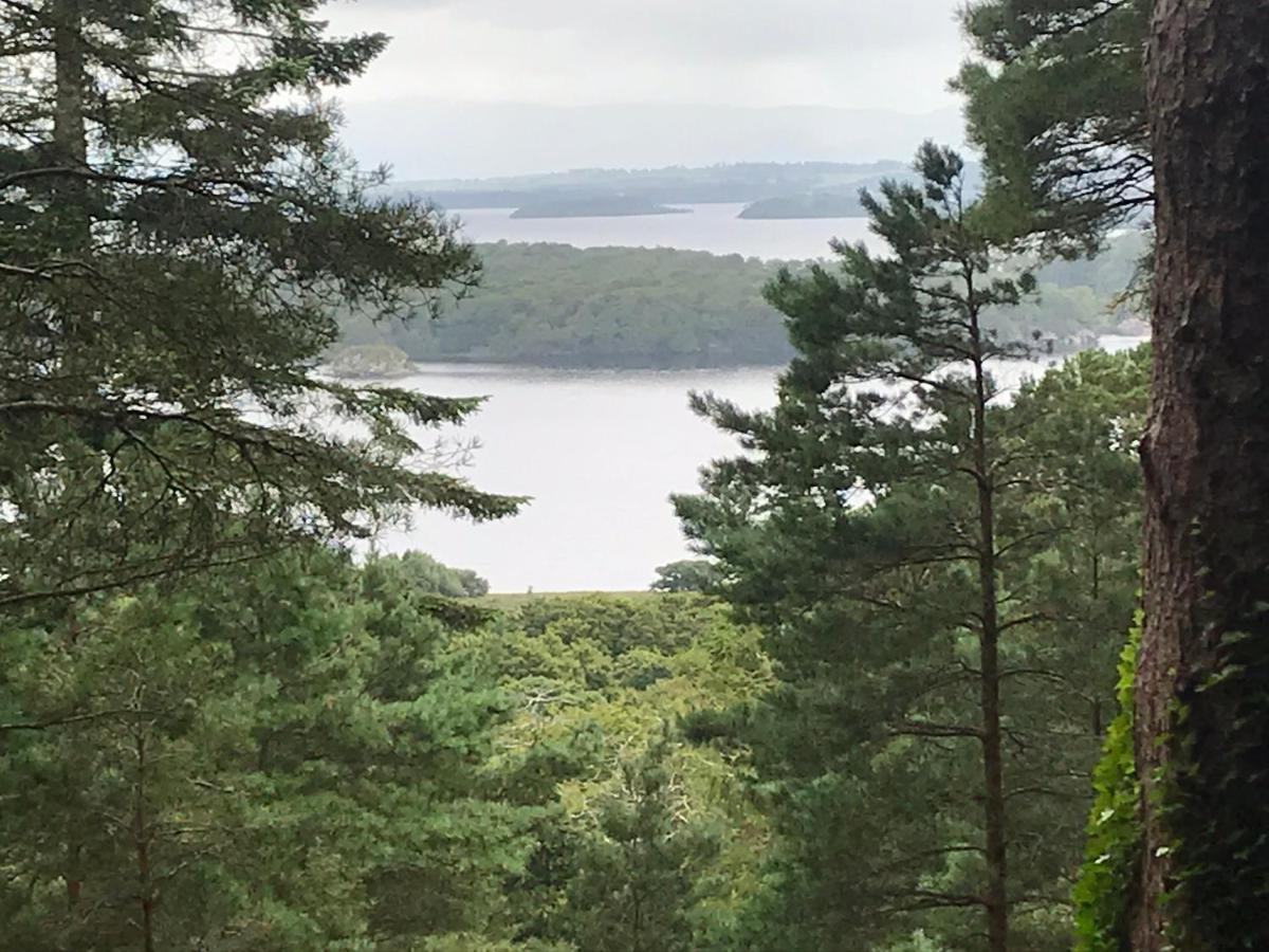 Tall Trees Seaside & Nature Retreat B&B Delgany エクステリア 写真